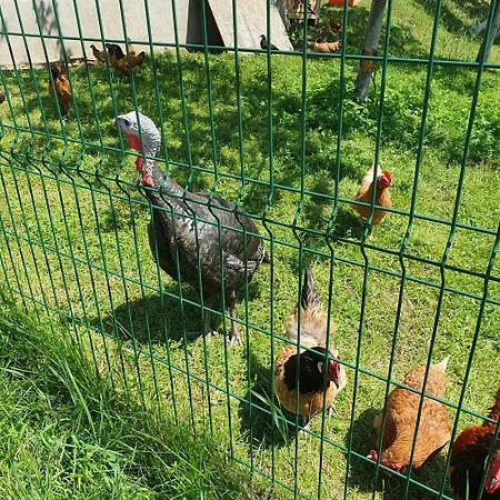 Gasthof&streichelzoo Winkelwirt * Althofen (Carinthia)