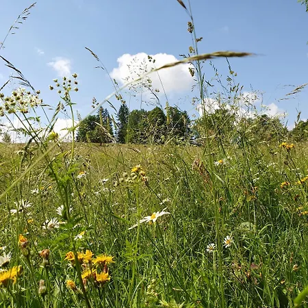Privatunterkunft Gasthof&streichelzoo Winkelwirt Althofen (Carinthia)