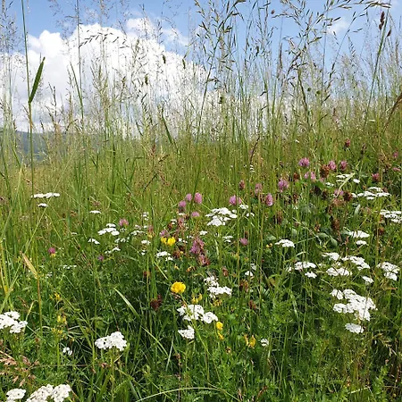 Gasthof&streichelzoo Winkelwirt *